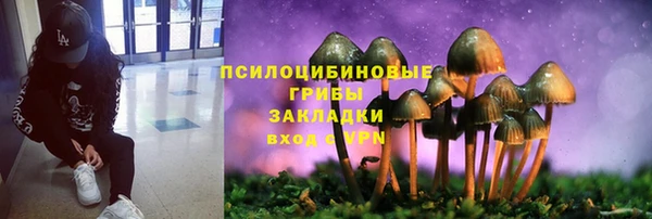 a pvp Мегион