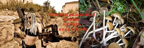 a pvp Мегион