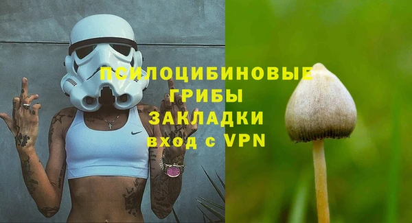 не бодяженный Медвежьегорск