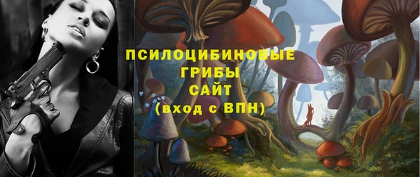 a pvp Мегион