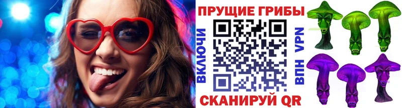 Купить где  Новая Ладога  Галлюциногенные грибы Psilocybe 